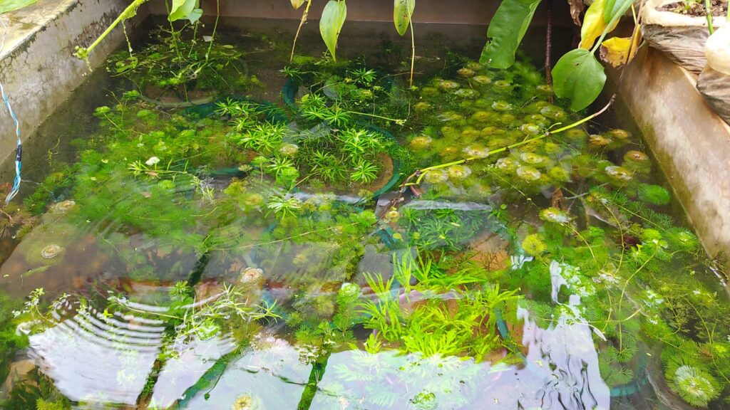 whatsapp image 2026 04 01 at 9.52.06 am