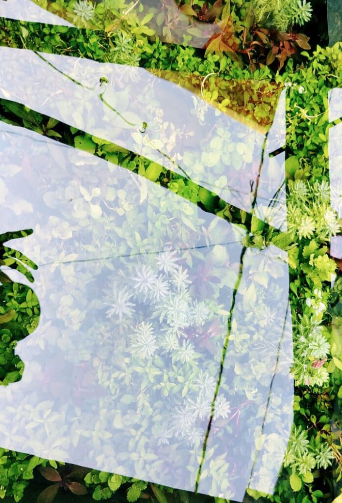 whatsapp image 2026 04 01 at 9.52.40 am